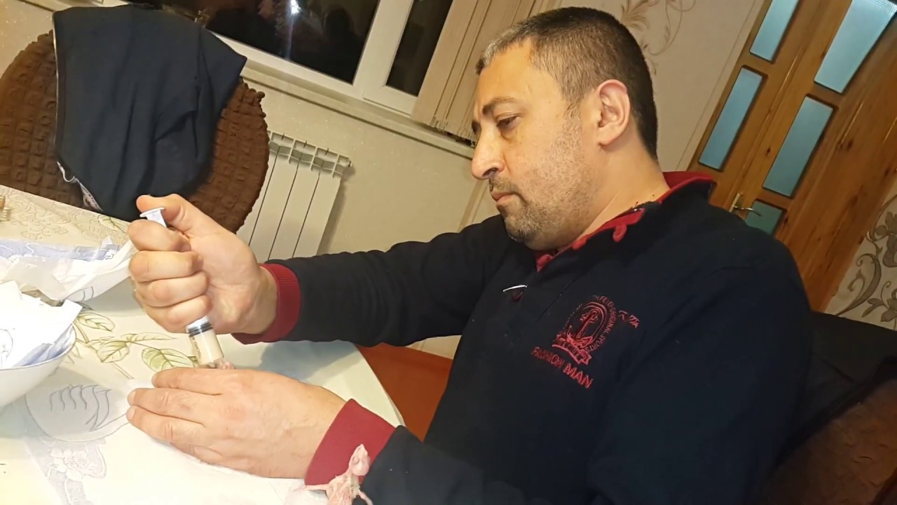 Tutuquşular dünyası. papuqay balasini yedizdirmey qaydasi 3. Papuqay fermasi Azerbaycan Salyan.