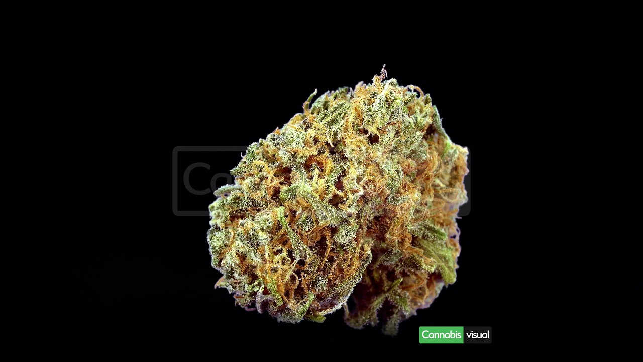 Pineapple Kush