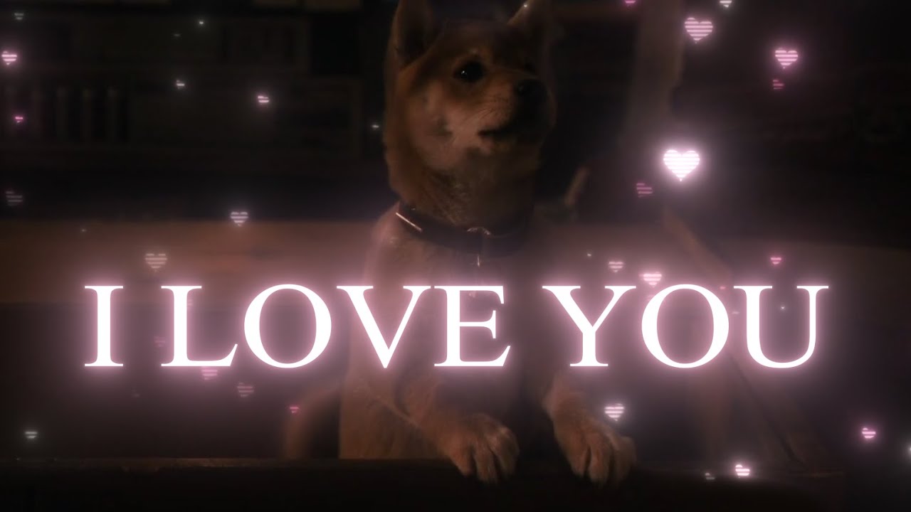 Hachiko