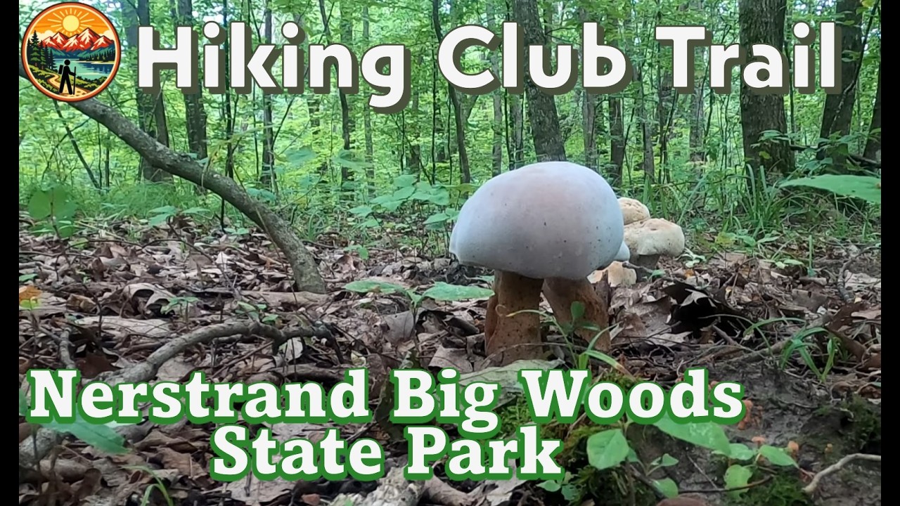 Discover Nerstrand/Big Woods State Park | MN State Park Hiking Club Series 🌲#mnhikingclub #minnesota