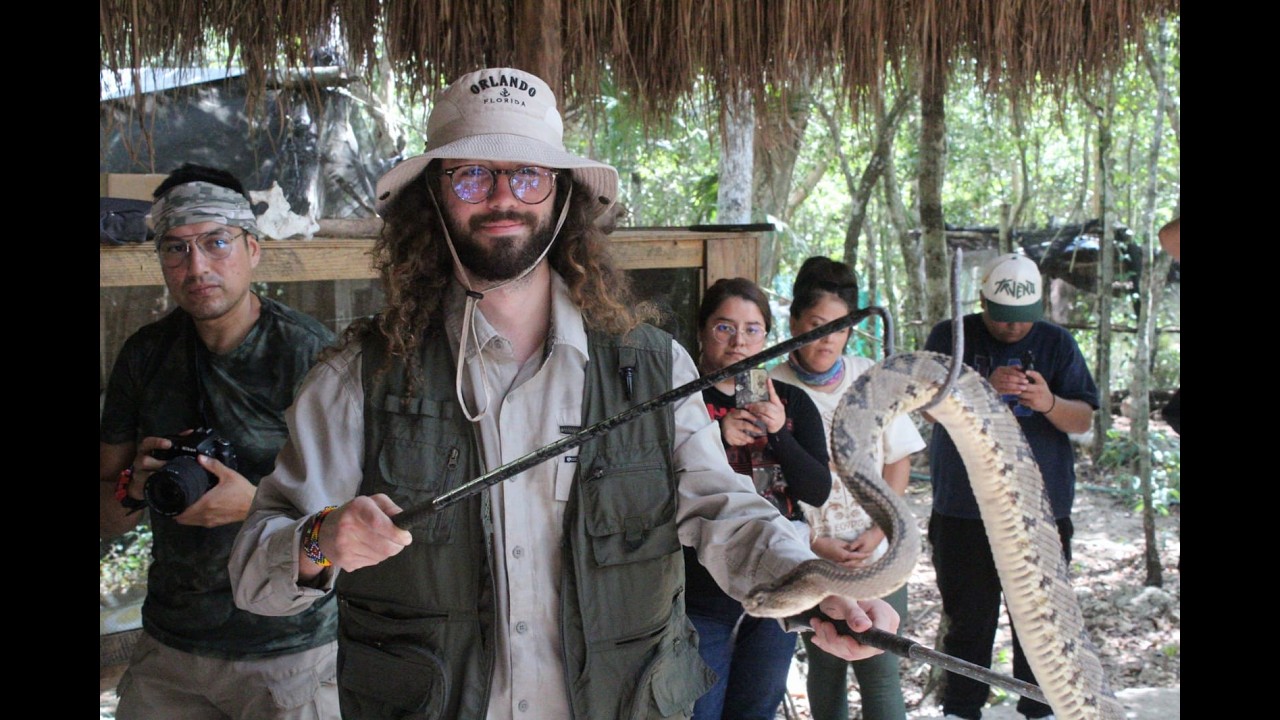 Curso de Herpetofauna MX
