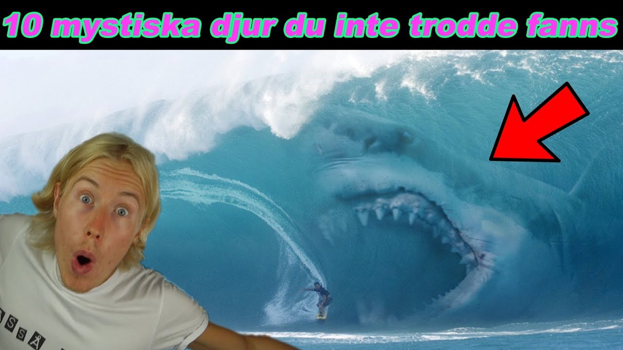 10 mystiska djur du inte trodde fanns - VAD ÄR DET HÄR!?