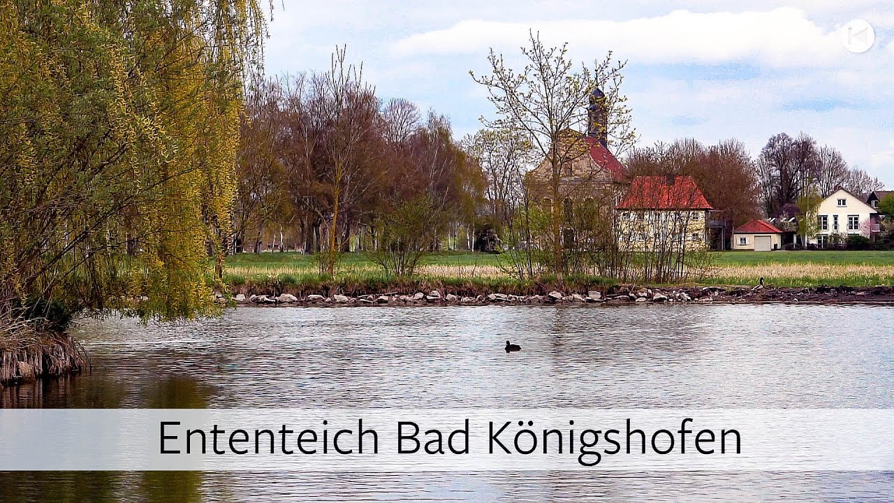 ENTENTEICH BAD KÖNIGSHOFEN