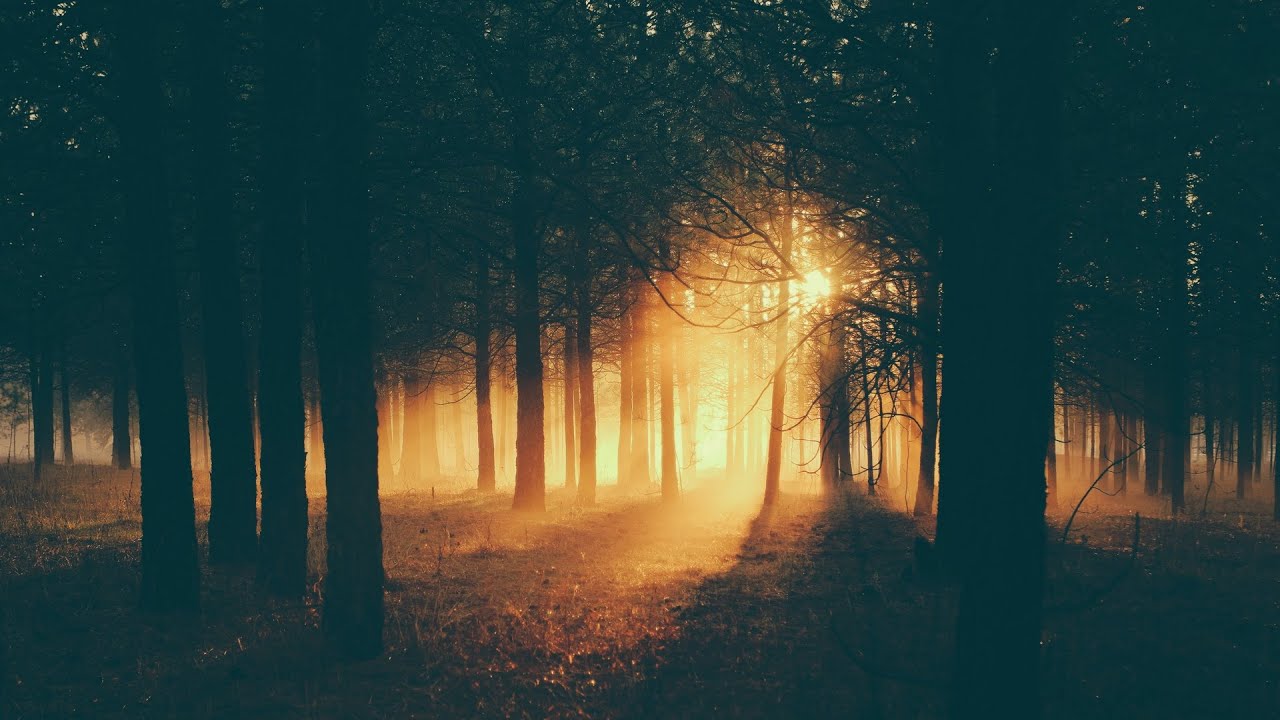 Chill,Relax - Mix 1