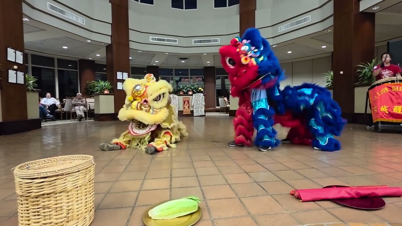 The Towers San Antonio Lion Dance Association 