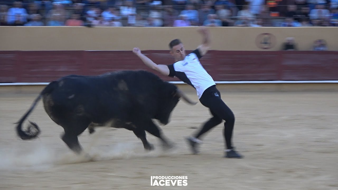 Ávila (15-10-25) - Concurso de Recortes Libre