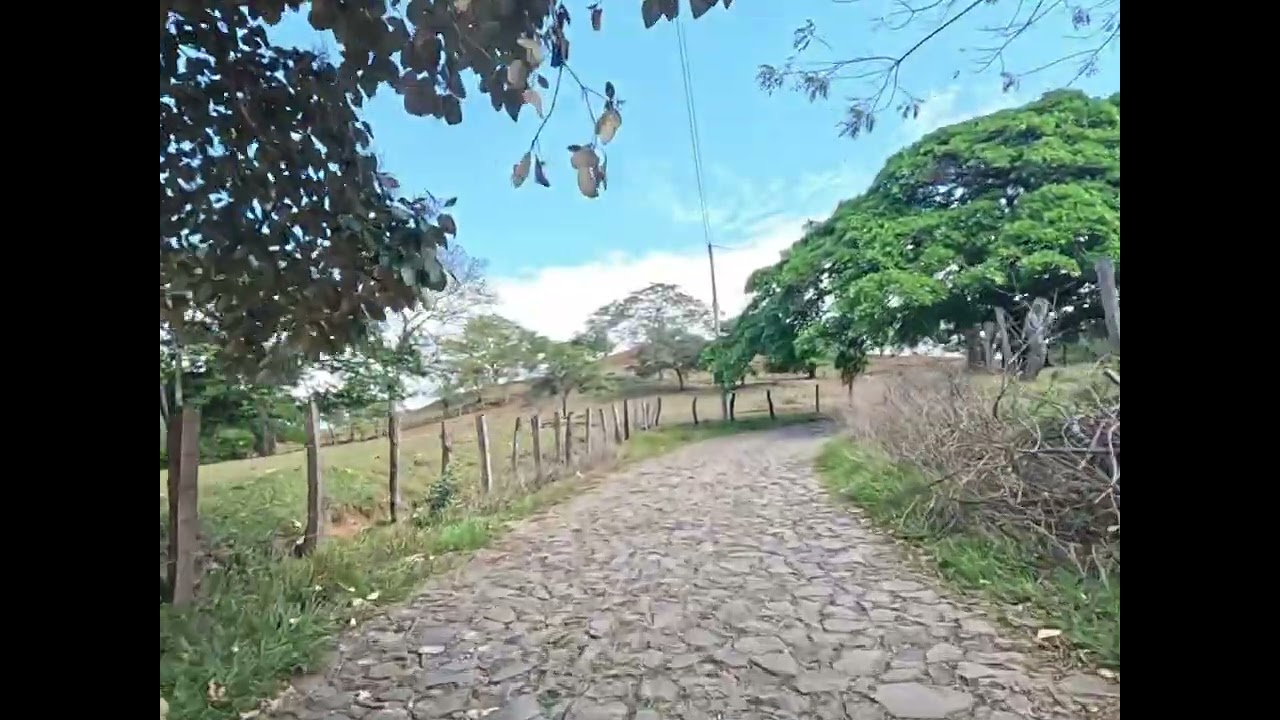 Cantón San Felipe Corinto Morazán El Salvador #Naturaleza #bosque #senderismo 
