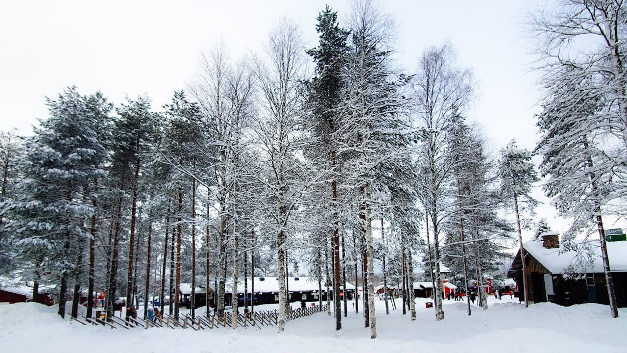 Lapland - February 2023 - Part 1
