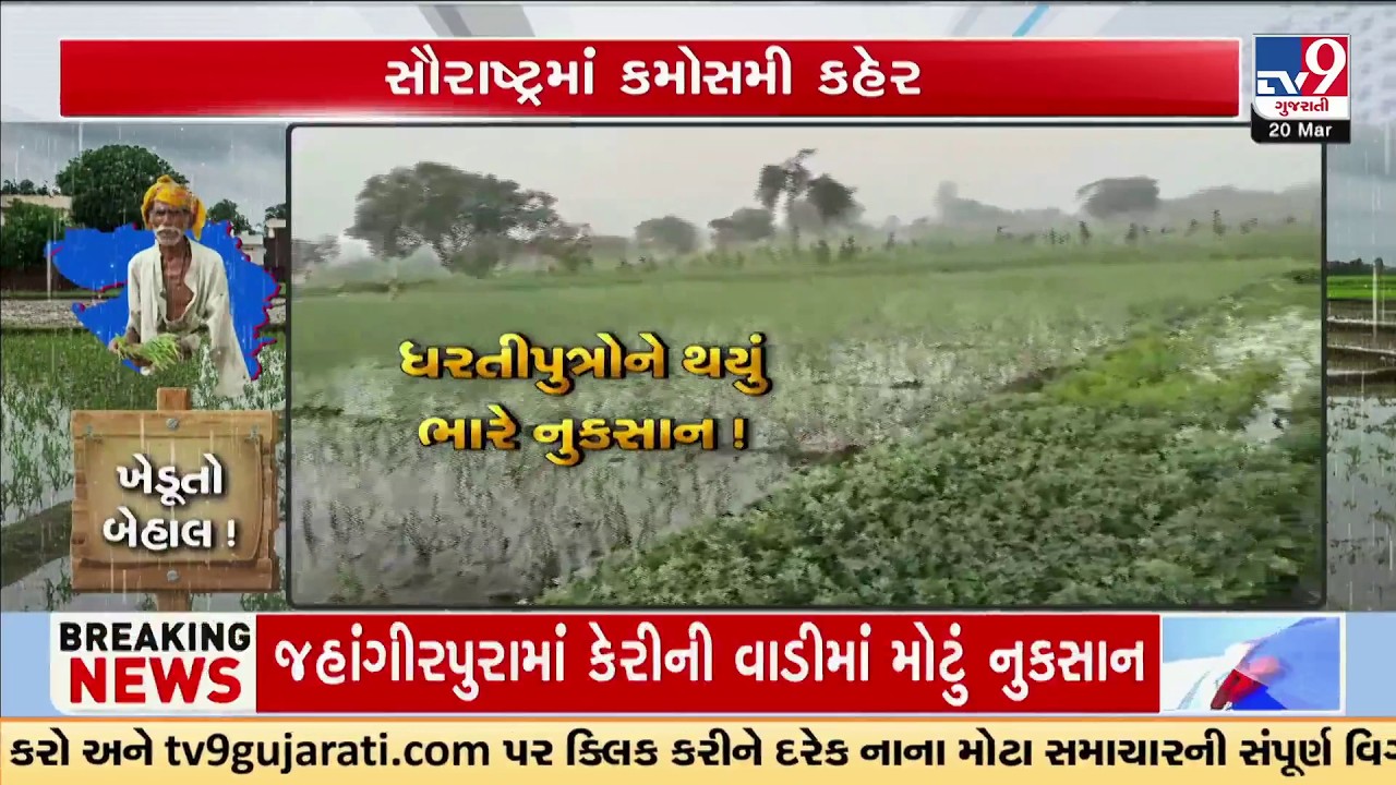 Unseasonal Rain Hits Saurashtra: ધરતીપુત્રોને થયું ભારે નુકસાન ! | Farmers Suffer Heavy Loss | TV9