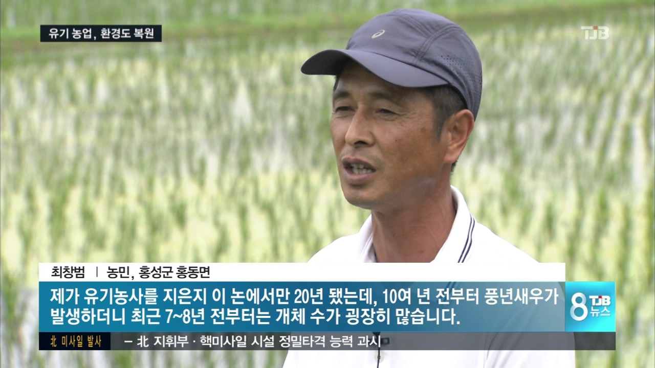 [TJB뉴스]친환경 농사 지었더니 풍년새우가 나타났다