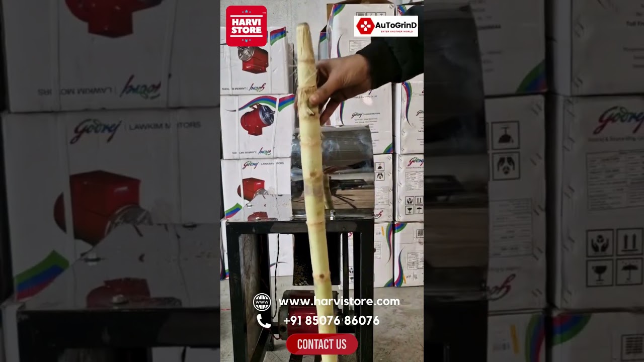 SUGARCAN PILLER MACHINE