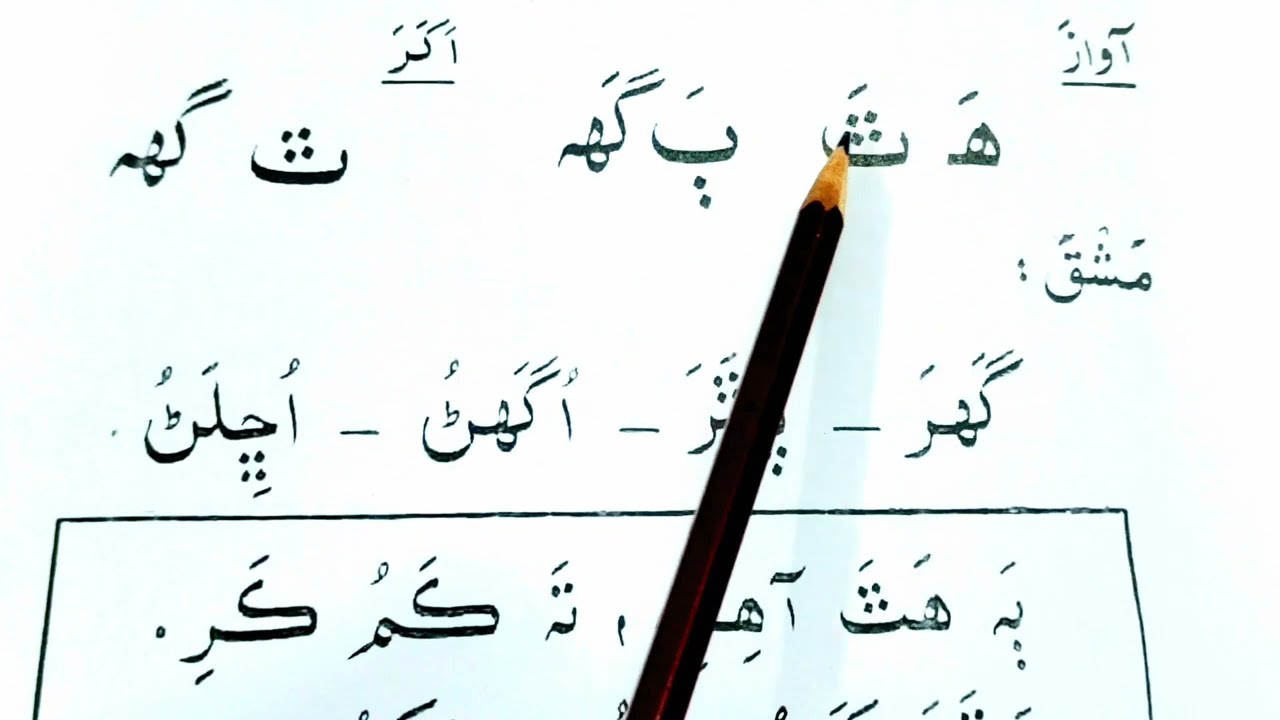 Sindhi Primer | Lesson 11 📚 | For Urdu Speakers
