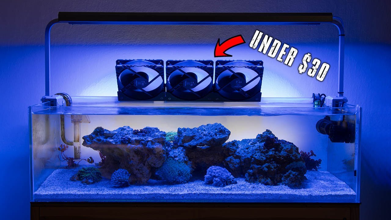 🪸 HOW TO MAKE A SUPER CHEAP AQUARIUM COOLING SYSTEM. (FRESHWATER & SALTWATER)