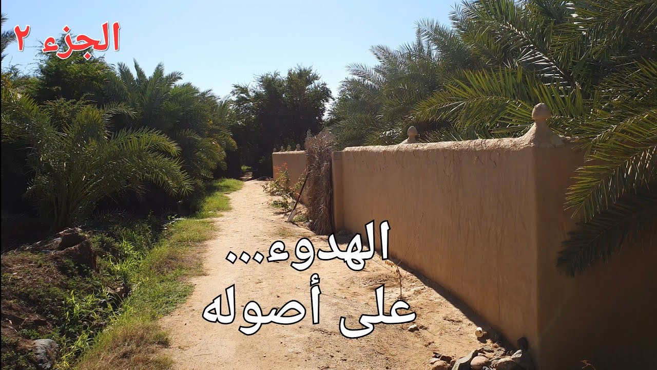 جولة في ينبع النخل ( الجزء الثاني ) عين عجلان و حصن الرقيبات و عدد من العيون #السعودية #ينبع #امطار