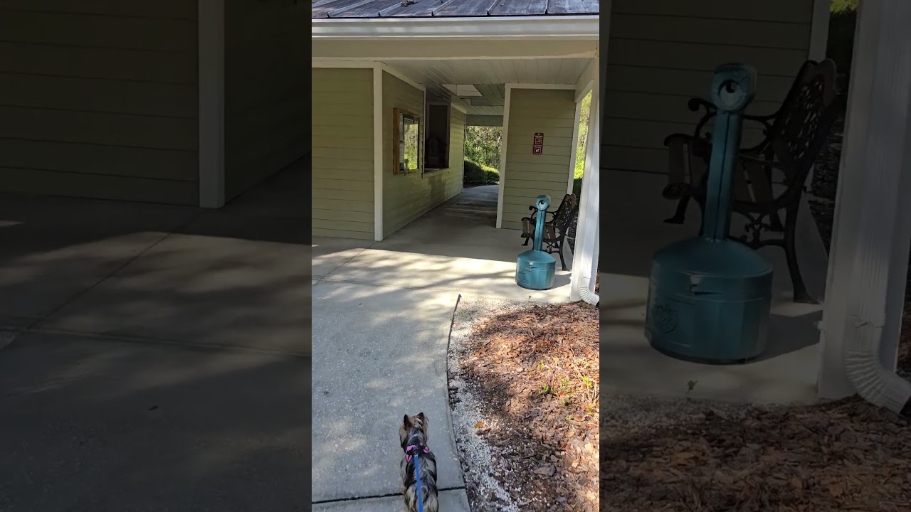 Take a walk. Silver Springs State Park, Florida 