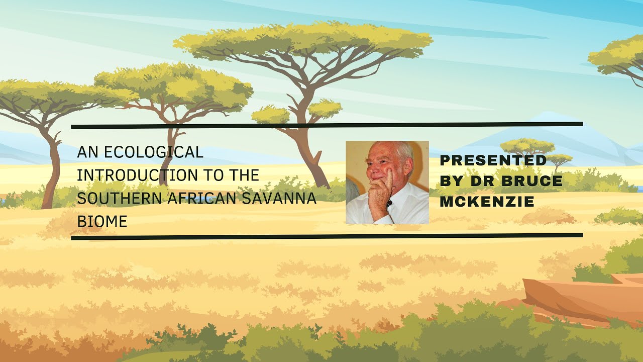 An Ecological Introduction to the Southern African Savanna Biome