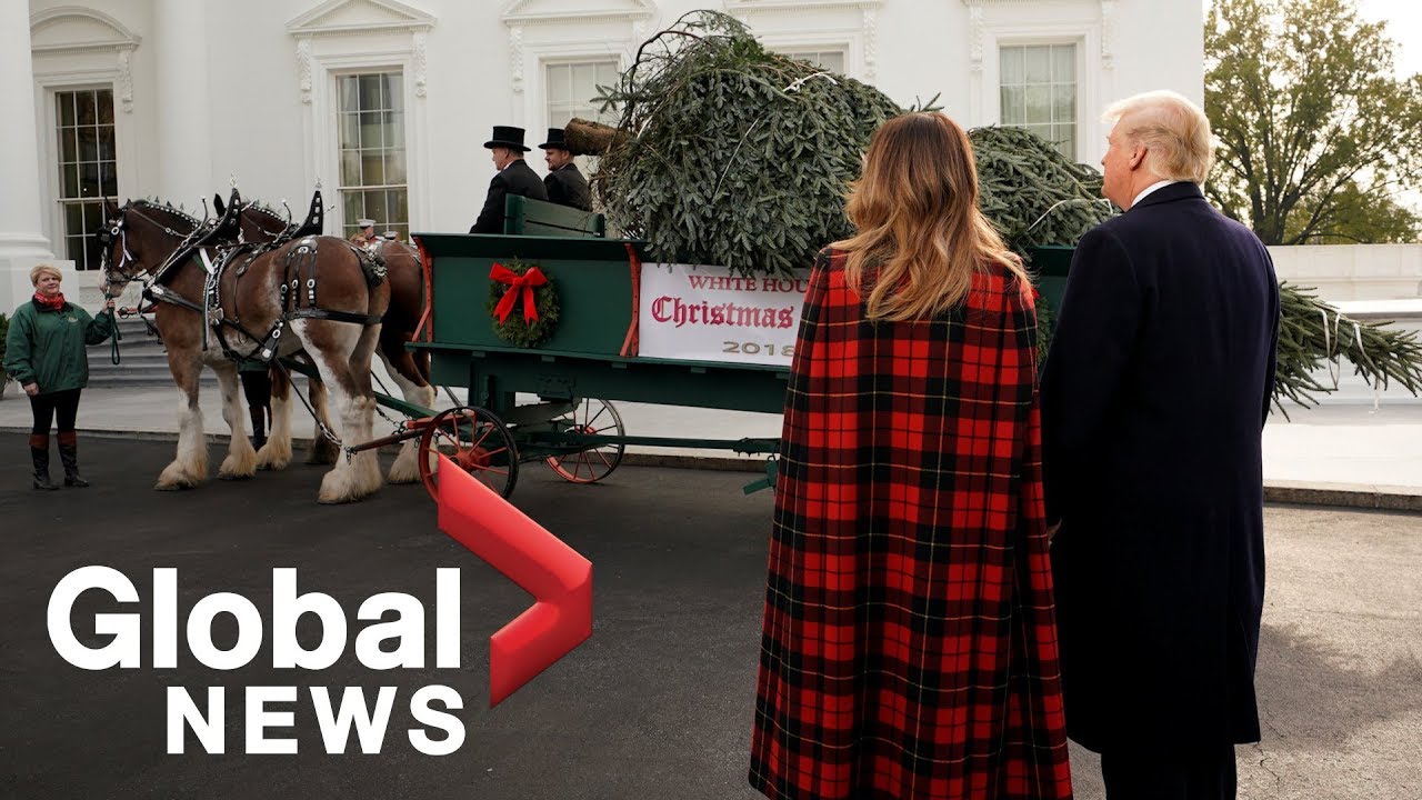 President Trump receives White House Christmas tree
