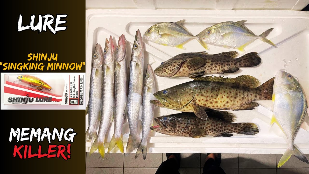 Casting Muara Guna Gewang Sinking Minnow! | Umpan Killer! | Strike Kerapu, Baby GT dan Alu-alu!