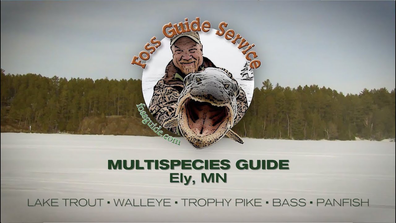 Foss Fishing Guide Service | Burntside Lake | Ely, MN | Lake Trout, Pike, Walleye, Bass, Bluegill