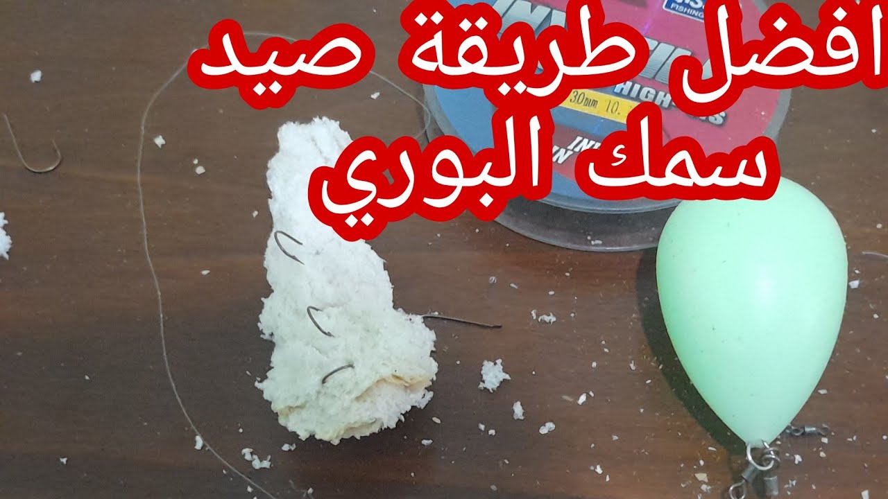 كيفية صيد سمك البوري بالسوندويتش/الخبز.  #peche_algeria_mullet  fishing#