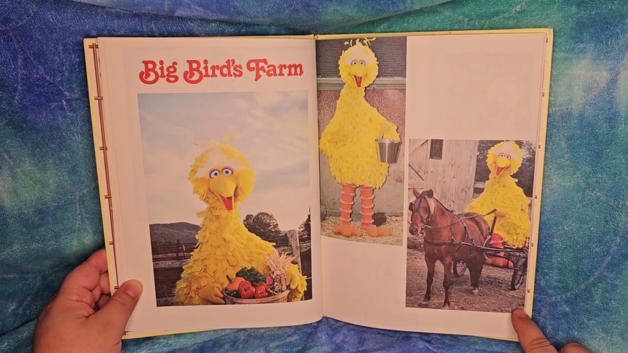 THE SESAME STREETTREASURY vol 11 (STARRING THE NUMBER 11 and THE LETTER R) read aloud