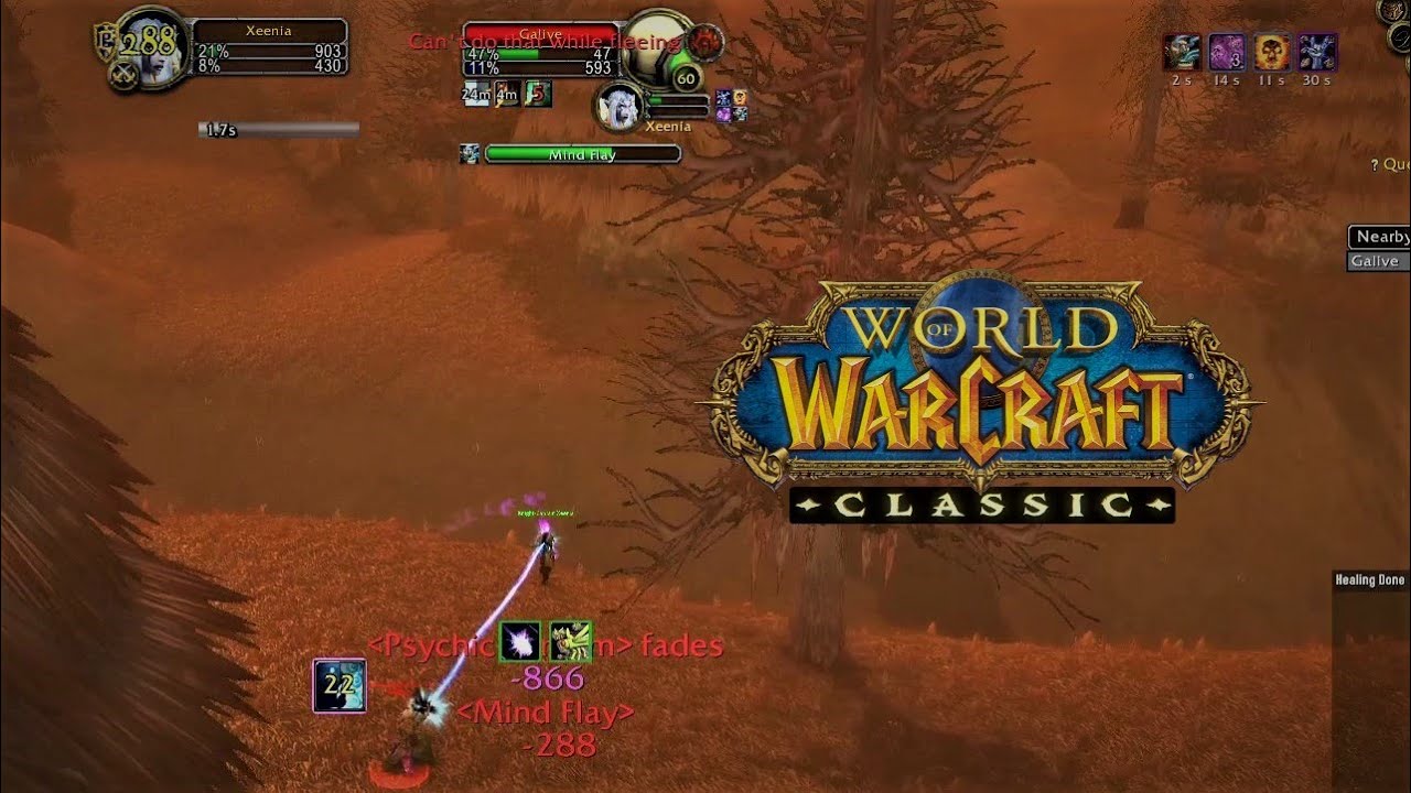 Nutty Fight With Scarab Lord Shadow Priest | WoW Classic PvP