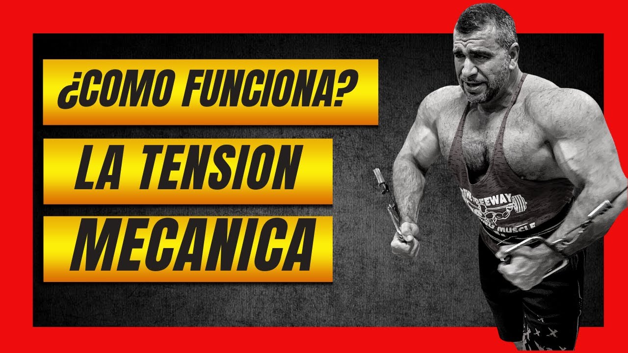 🔗TENSION MECANICA ⚙️- Curso Hipertrofia #6