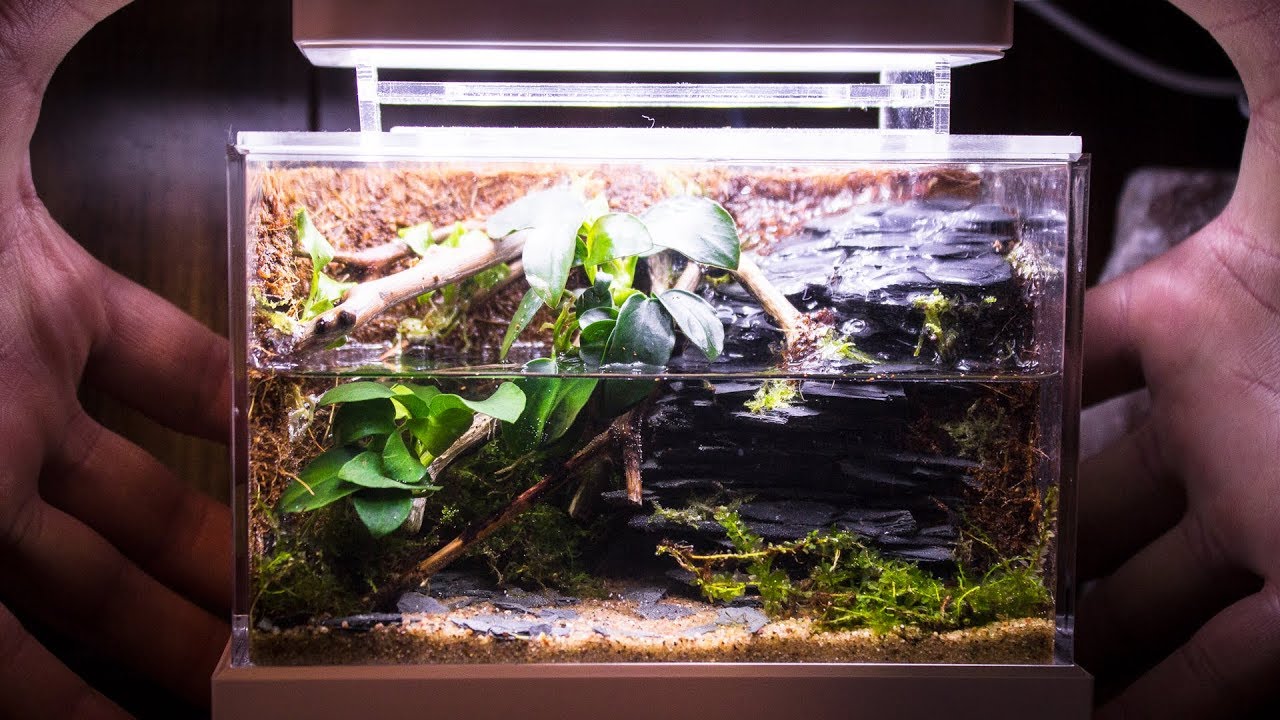 Mini Complete Waterfall Paludarium