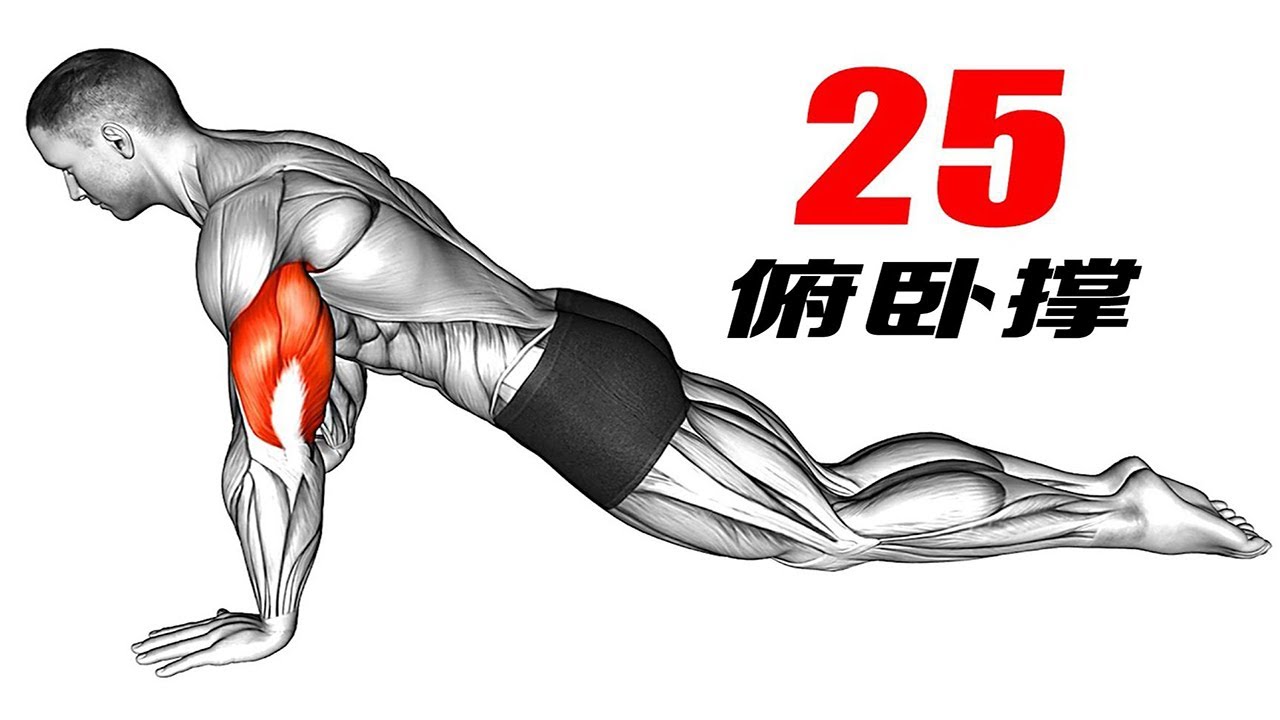 最全的25款俯卧撑，总有一款适合你丨The most complete 25 push ups, there is always one for you