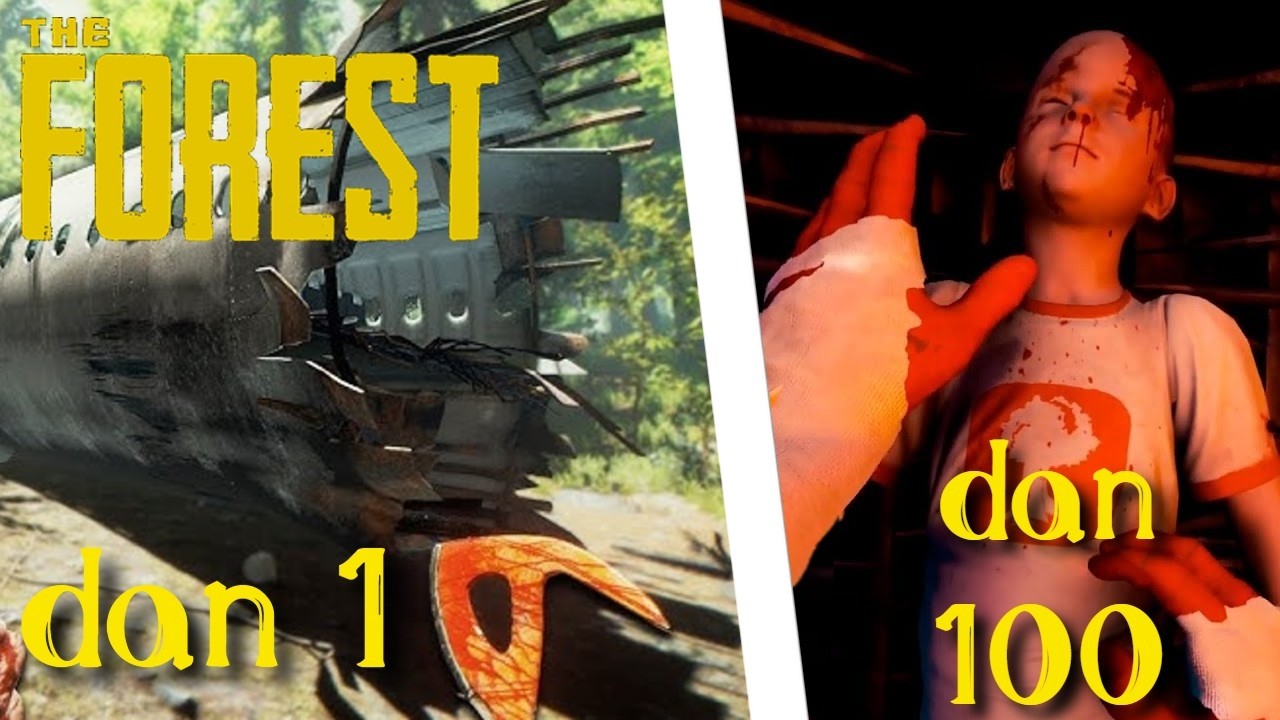 PREŽIVELI SMO 100 DANA U THE FORESTu