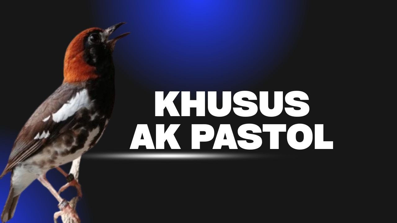 ANIS KEMBANG NGEPLONG SIANG HARI - UNTUK PANCINGAN ANIS KEMBANG BARU BELAJAR BUNYI