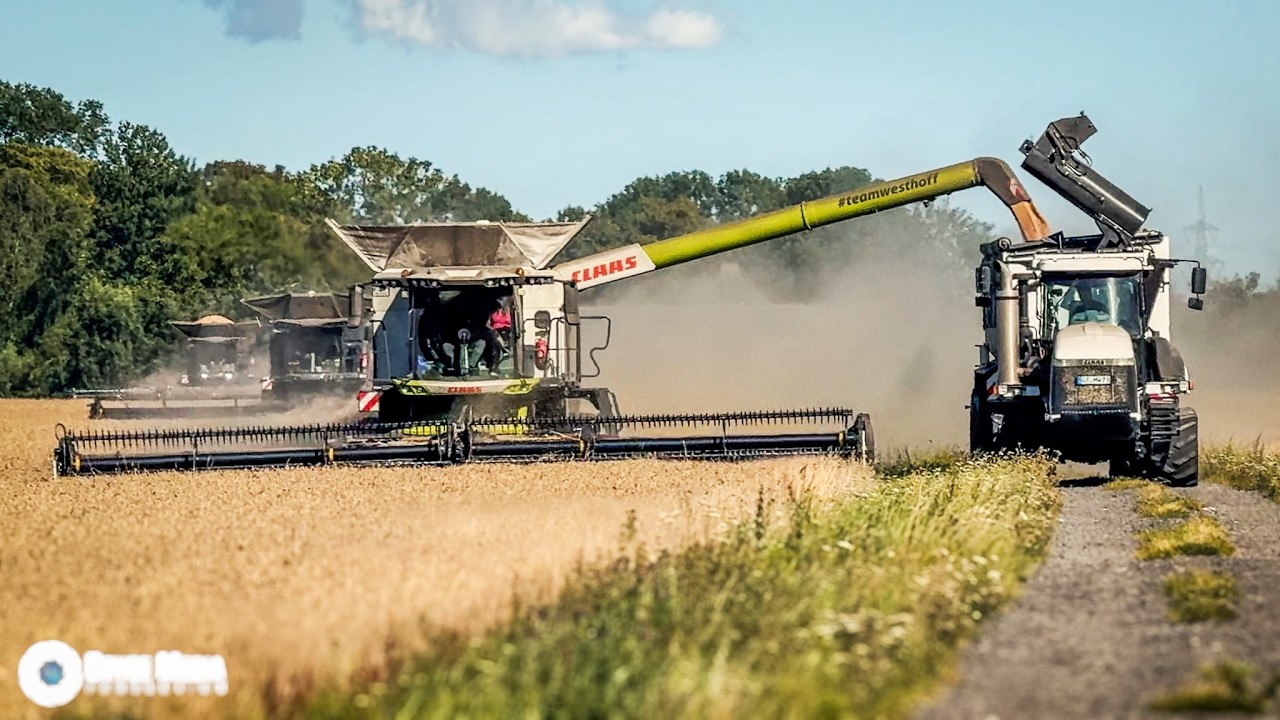 Ernte 2025 Besondere Erntetechnik XXL! CAT -Claas Challenger 85E & 3x Fendt Ideal 10T & Lexion 7700