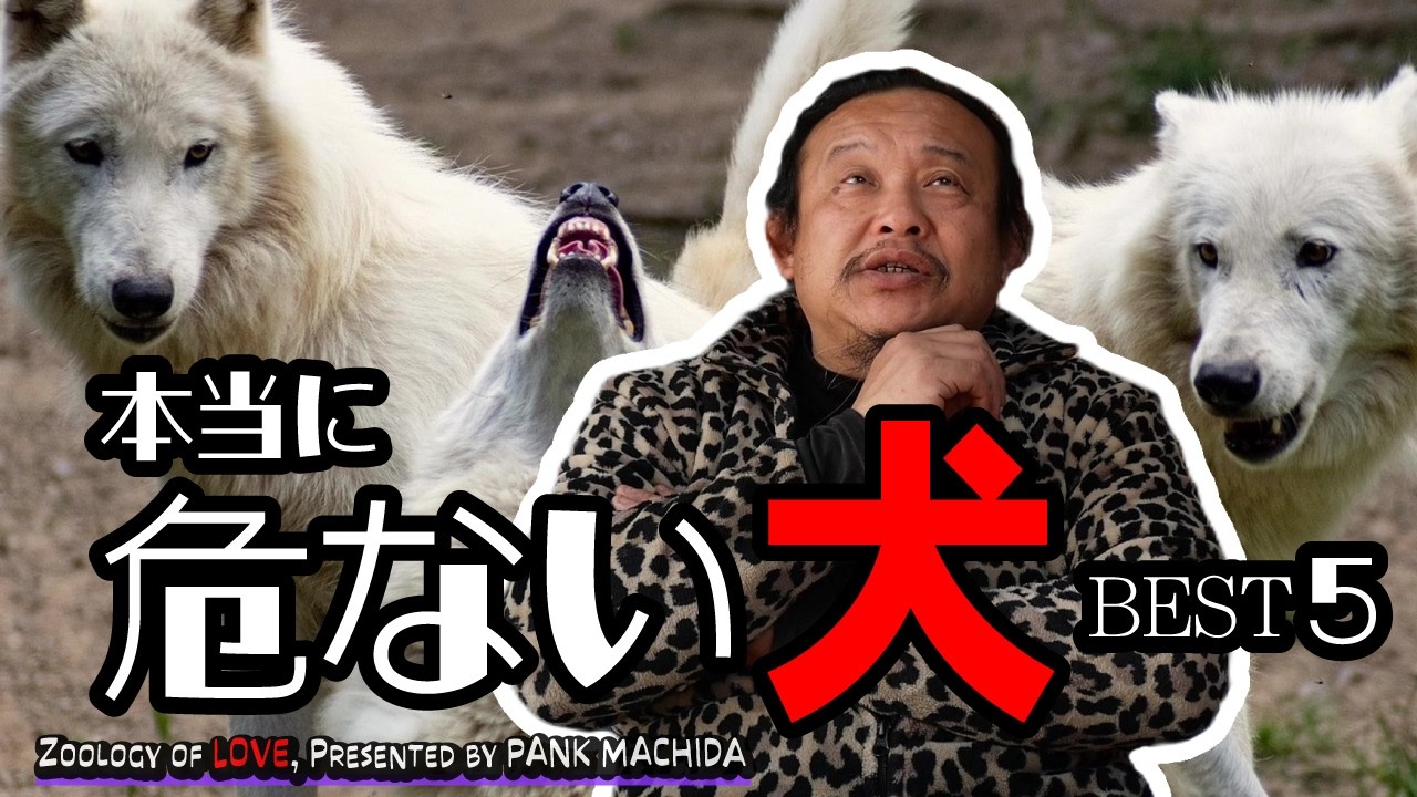 本当に危ない犬・ベスト5