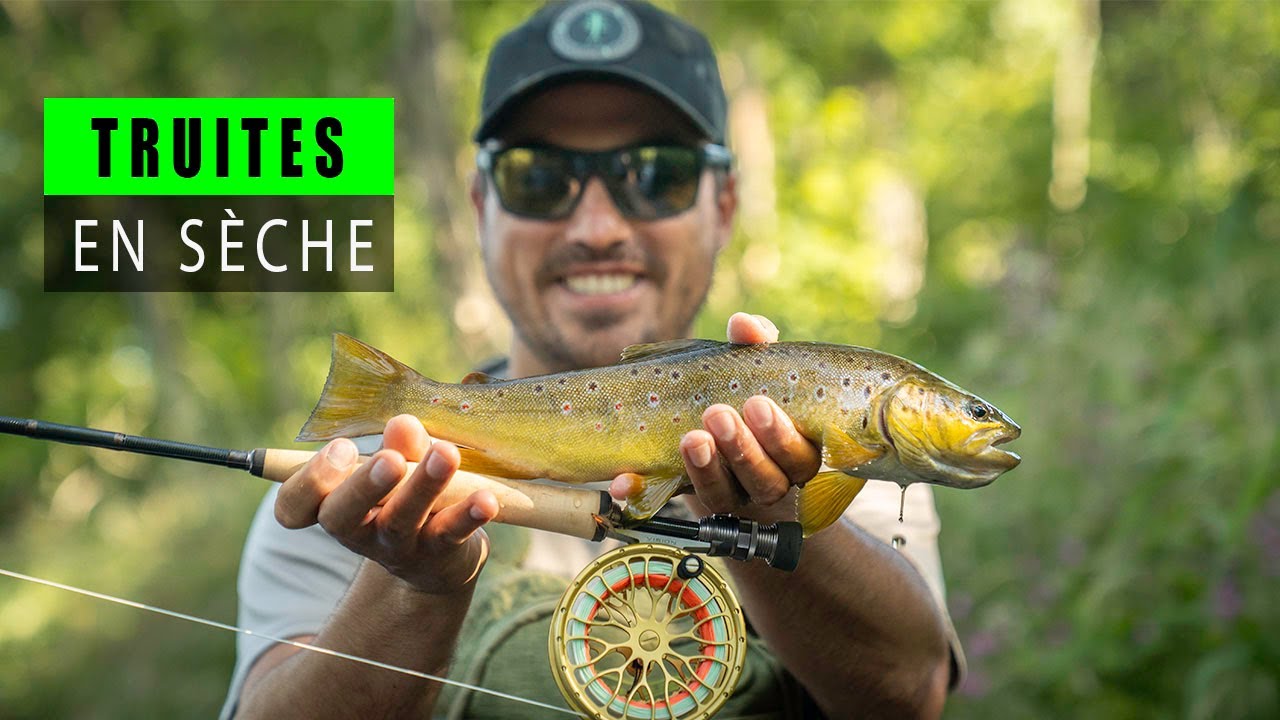Pêche en sèche : Pêche de la truite à la mouche en petite rivière