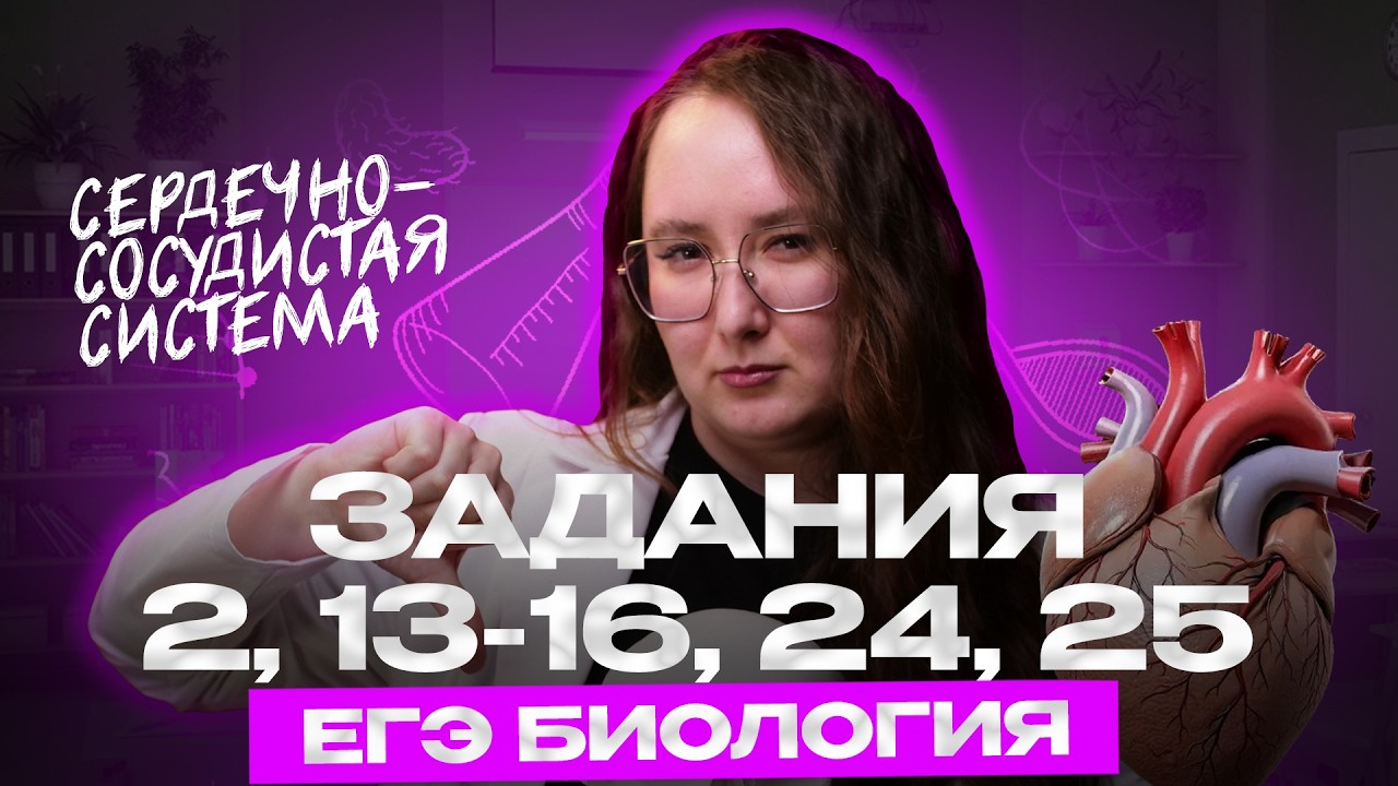ВСЯ КРОВЕНОСНАЯ СИСТЕМА ДЛЯ ОГЭ И ЕГЭ ЗА 5 МИНУТ | ОГЭ и ЕГЭ биология 2026