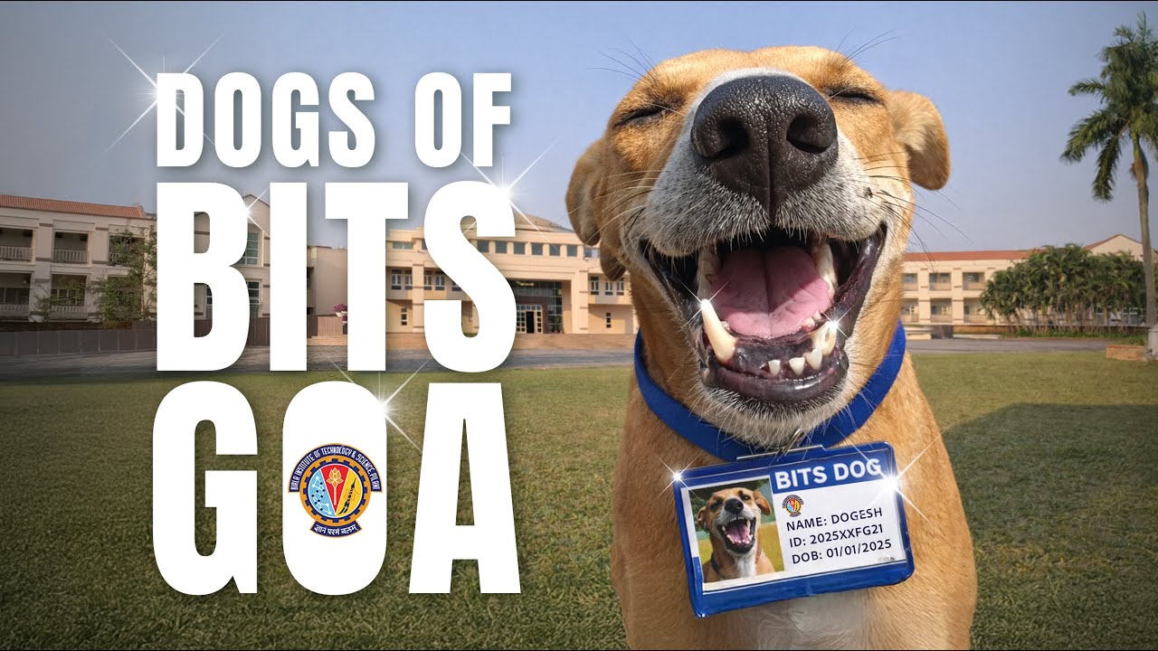 Bits Goa biggest problem 🛼🐕