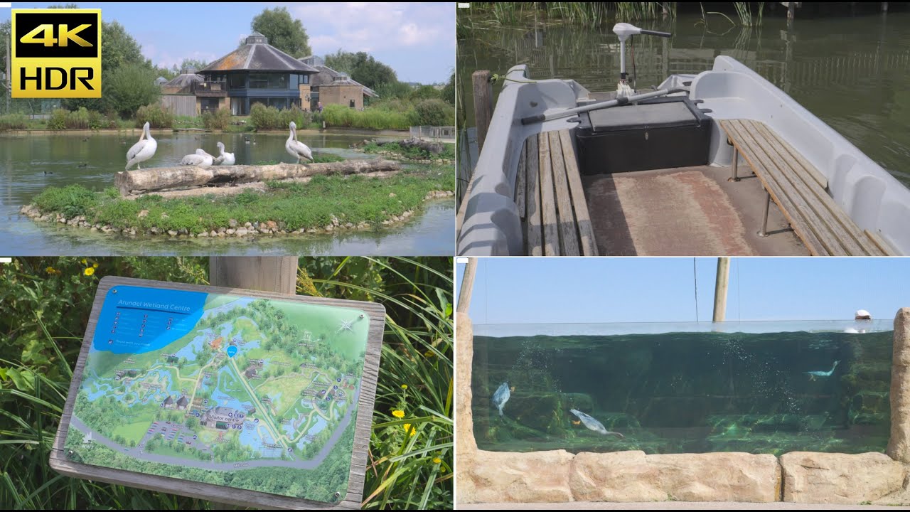 [4K HDR] Bird Zoo | Wetland Centre WWT | Arundel