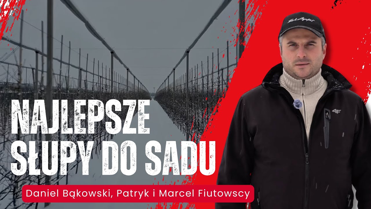 Nowoczesny sad – jak wysokie słupy zmieniają opłacalność produkcji jabłek