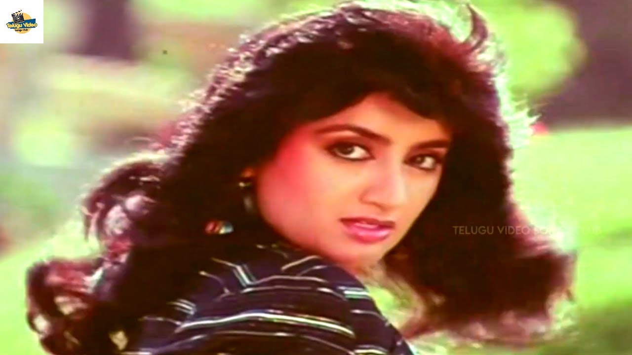 సూపర్ పాట గురూ | Sumalatha Rajendra Prasad Super Dance Video Song Jayammu Nischayammu Raa Title Song