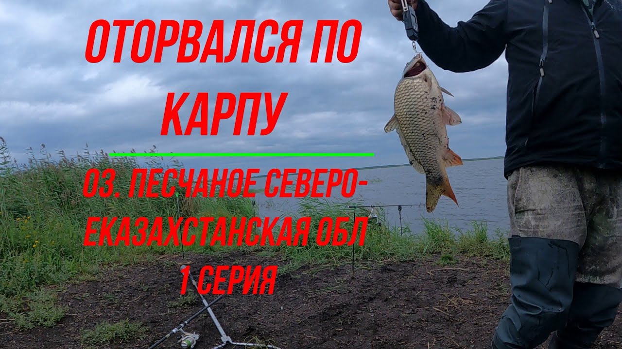Оторвался по карпу оз Песчаное Северо Казахстанская обл