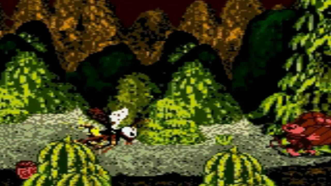 Donkey Kong Country [GBC] - Bumble B Rumble