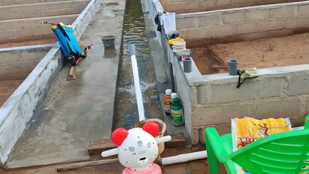 Irigasi Kolam Pembenihan Lele