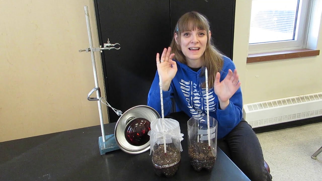 Lab 5  - The Greenhouse Effect