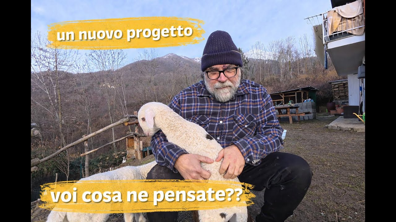Un nuovo progetto , cosa ne pensate?? #fattoria #montagna #animali #natura #vitainmontagna #farm