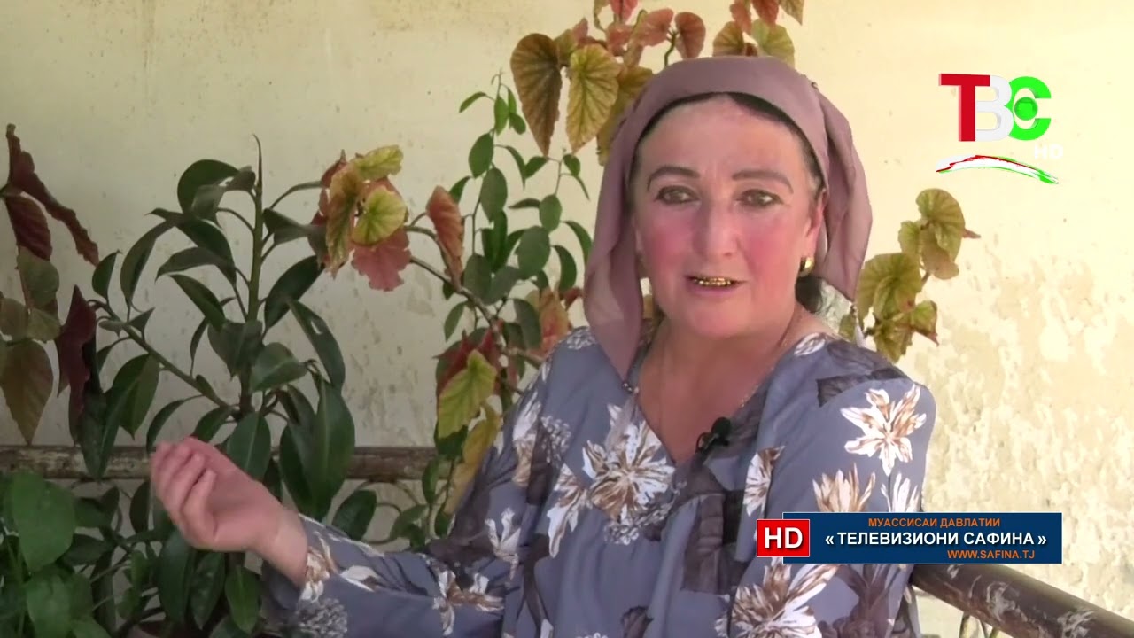 Қисмат - Нина Муродалиева