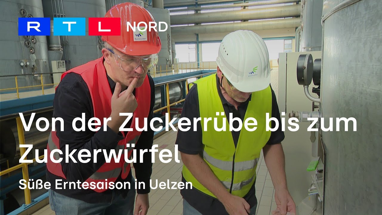Süße Einblicke in die Nordzucker Fabrik
