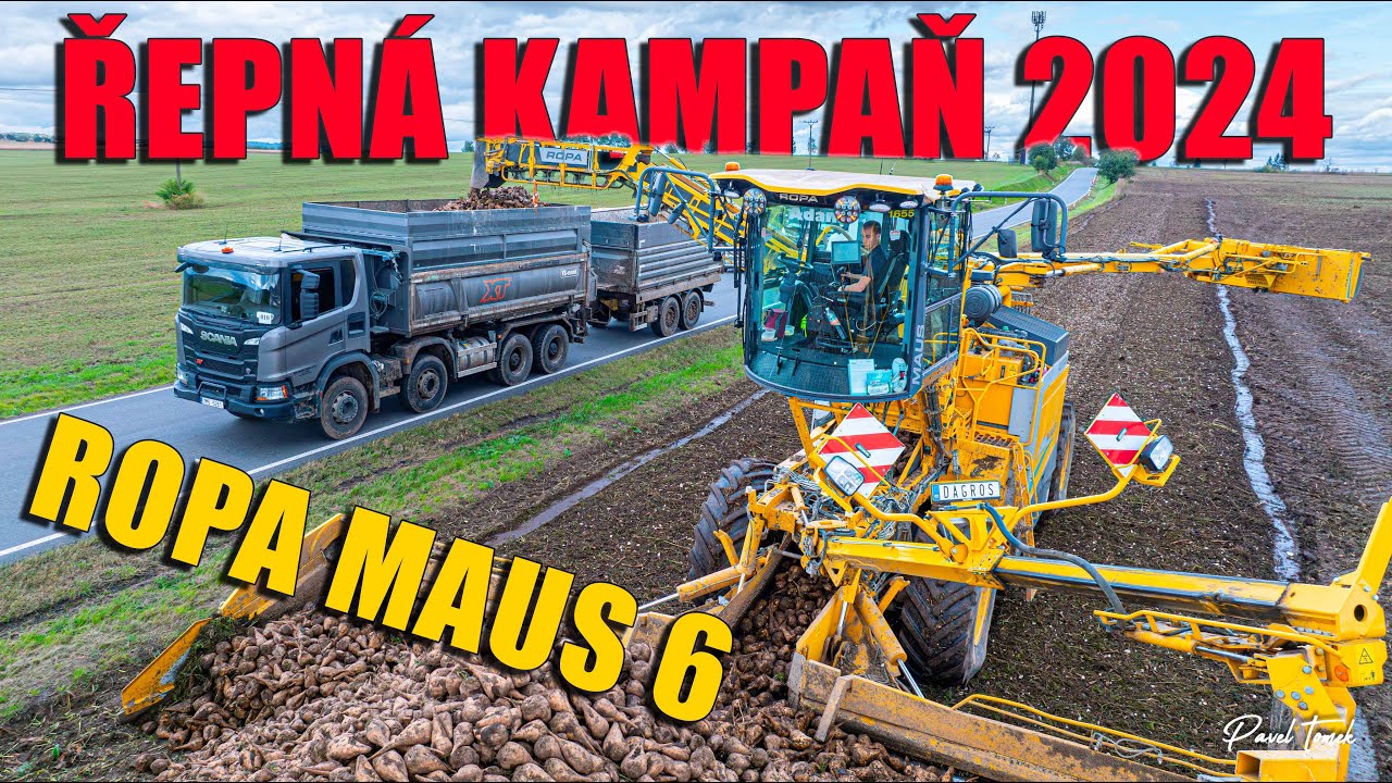Nakládka Čištění Řepy | Ropa MAUS 6 | Řepná Kampaň 2024 | Cukrovar Litovel