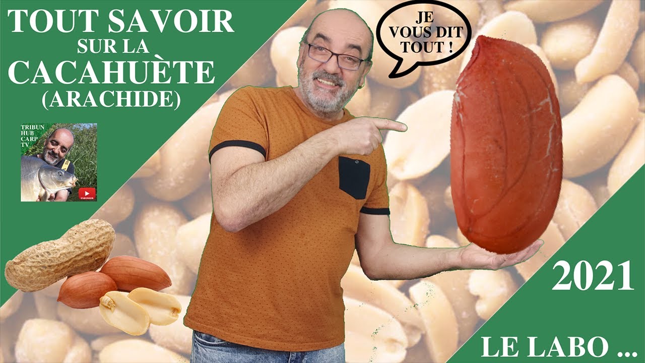 Tout savoir sur la cacahuète pour la carpe