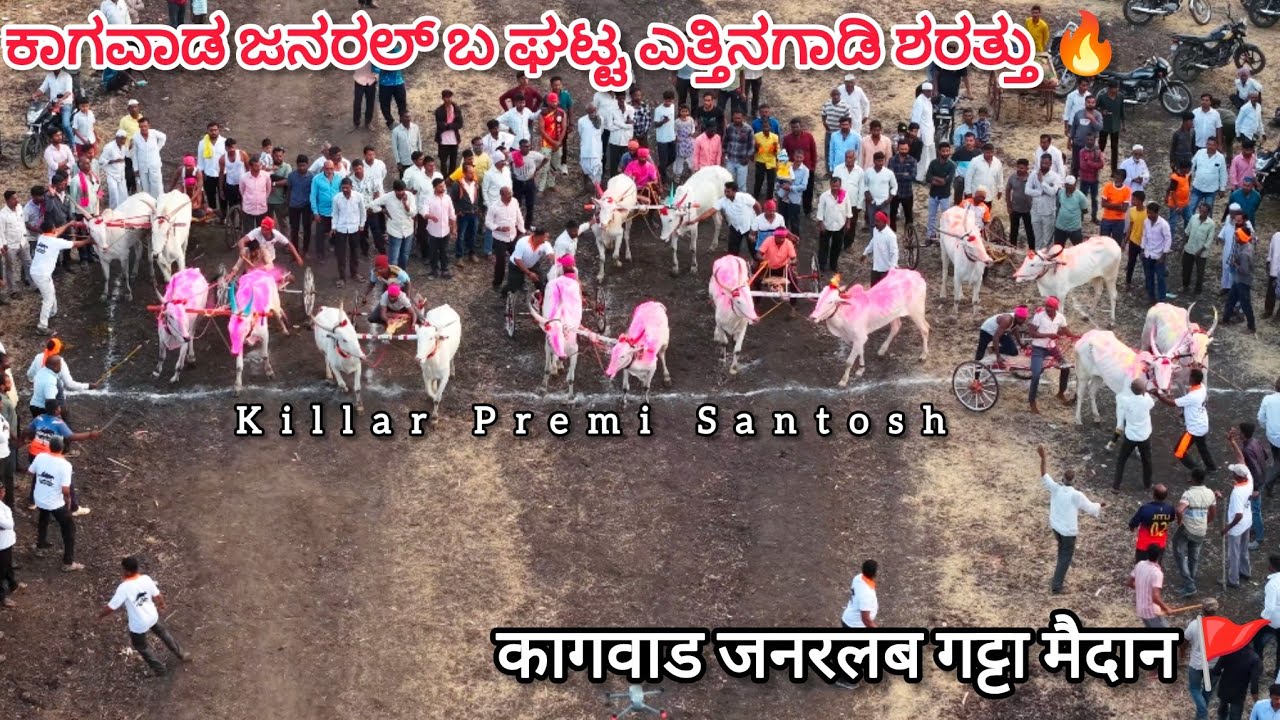 ಕಾಗವಾಡ ಜನರಲ್ ಬ ಘಟ್ಟ ಶರತ್ತು 🔥 कागवाड जनरल ब गट मैदान 🔥🚩#bailgadasharyat #drone #sharyat #cow 
