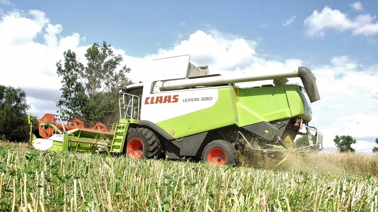 Żniwa z Claas ą 2018: CLAAS LEXION 580 - APS z Roto Plus robi robotę (oryginalny dźwięk)